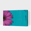 Paint by Number - Purple Gerbera