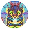 Paint by Number - Colorful Cat
