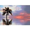 Diamond Painting - Palm Tree in the Sea