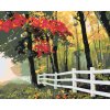 Paint by Number - Autumn Morning