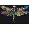 Paint by Number - Colorful Dragonfly