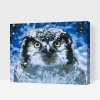 Paint by Number - Owl