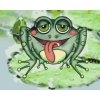 Paint by Number - Frog with Red Cheeks