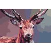 Paint by Number - Vector Deer