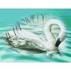 Paint by Number - Swan in the Turquoise Lake