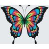 Paint by Number - Butterly in Colors
