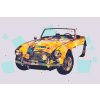 Paint by Number - Austin Healey