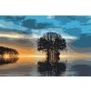 Paint by Number - Lonely Tree 2