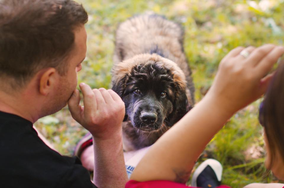 Proč mají Artinky právě takové složení?