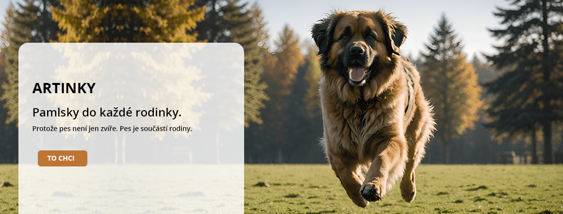 Artinky - pamlsky do každé rodinky.