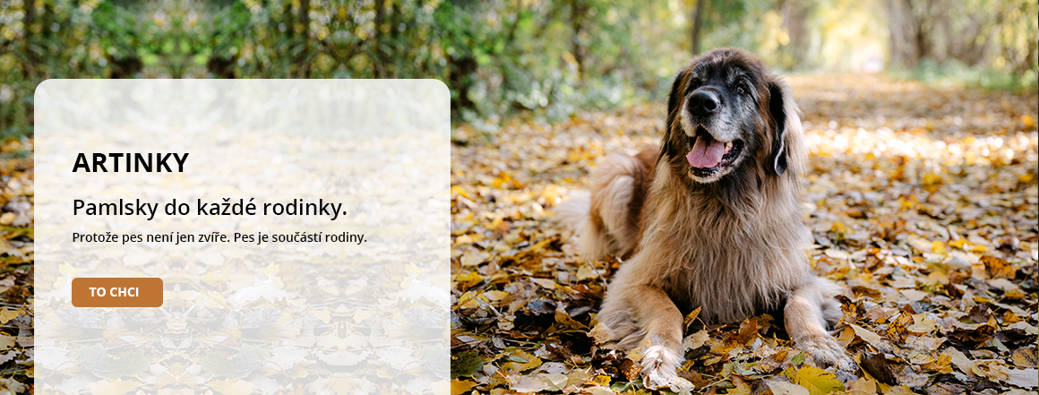 Artinky - pamlsky do každé rodinky.