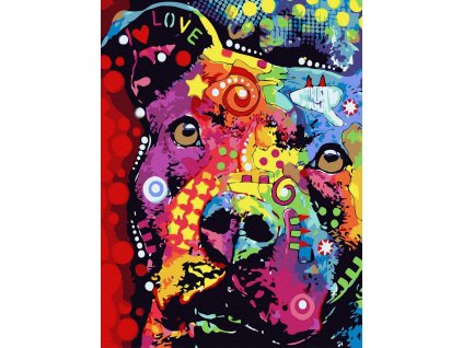 Malování podle čísel - ARTLUX.cz