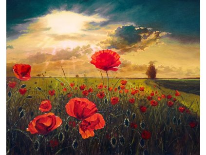 578 malovani podle cisel ohnive vlci maky 40 x 50 cm