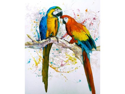 659 malovani podle cisel laska 3 40 kh 50 cm