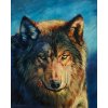 620 malovani podle cisel vlk 40 kh 50 cm