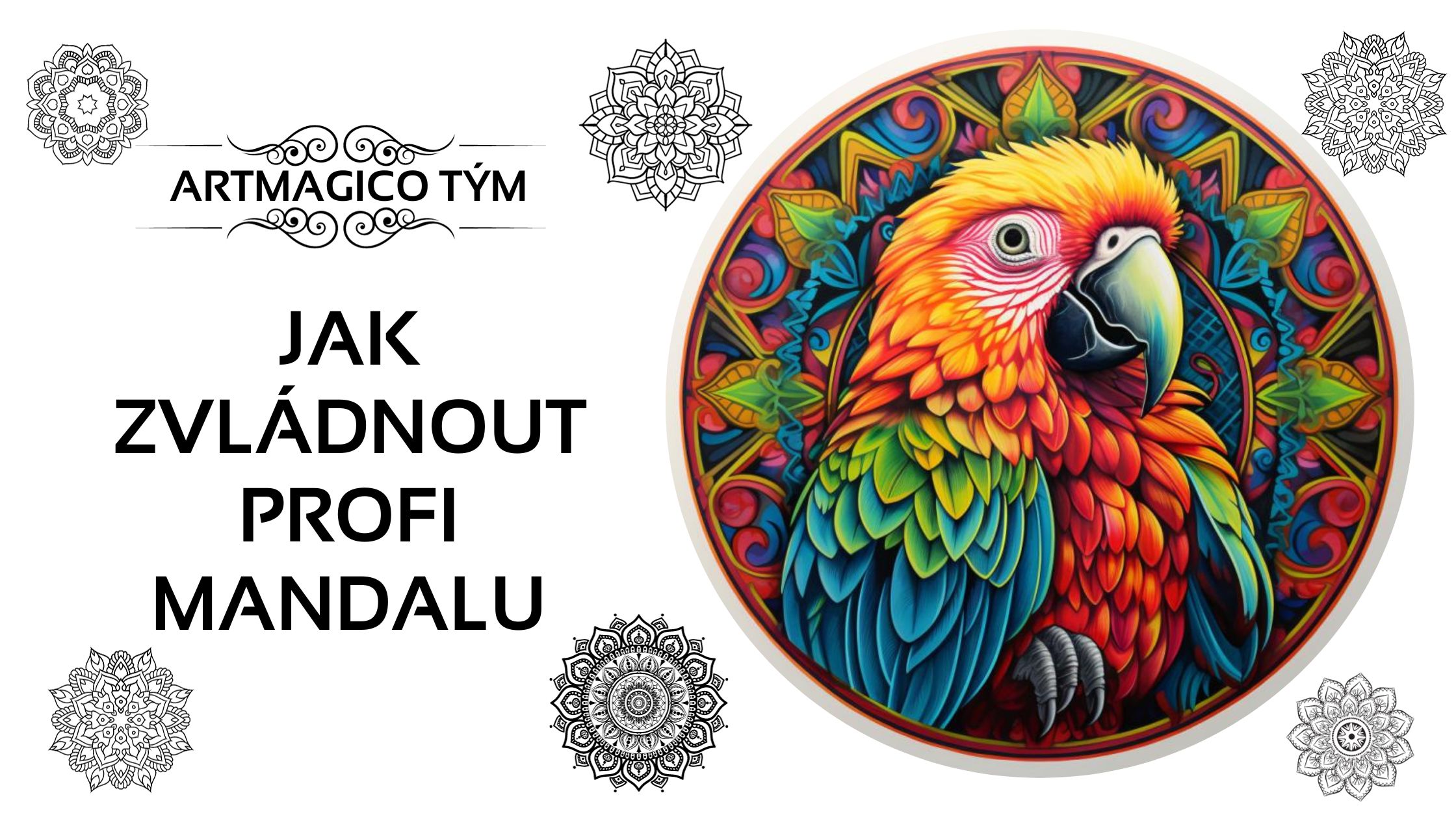 Návod jak na profesionální mandalu