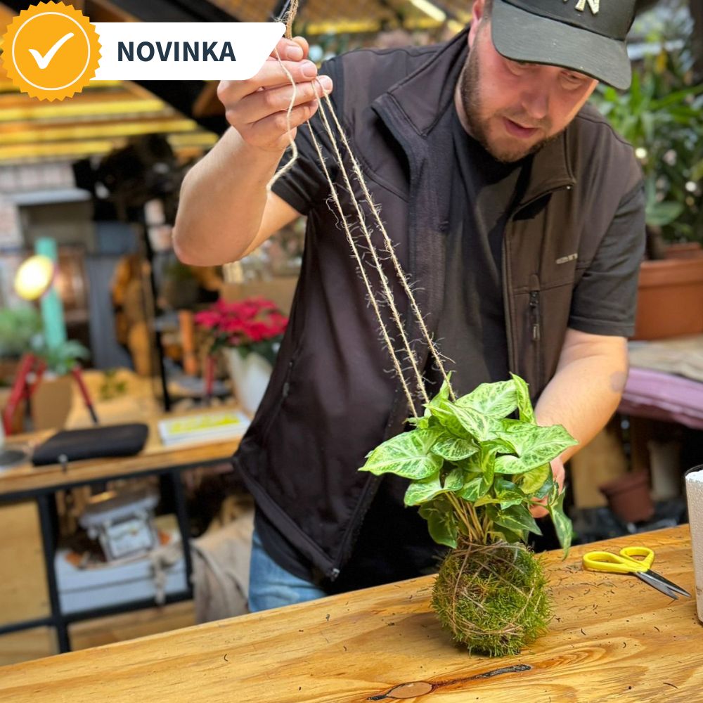 Romantický zážitek pro páry