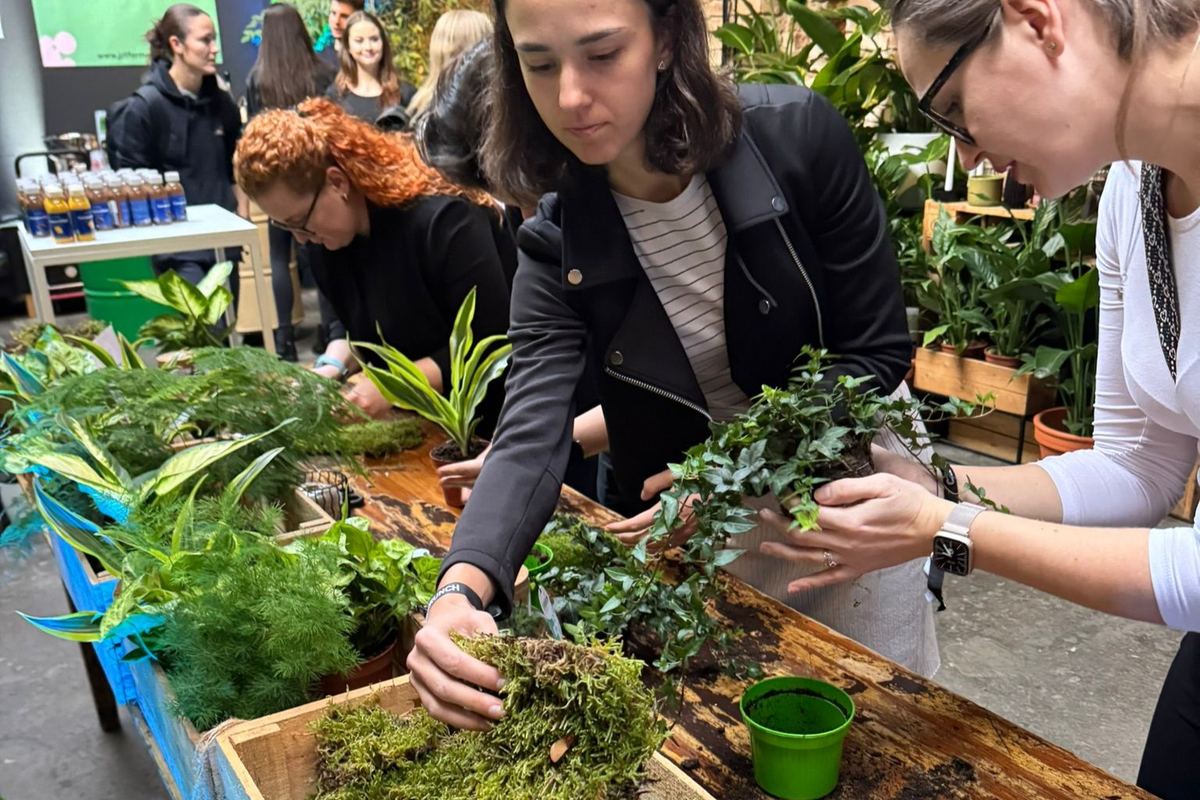 kokedama workshop jako dárek
