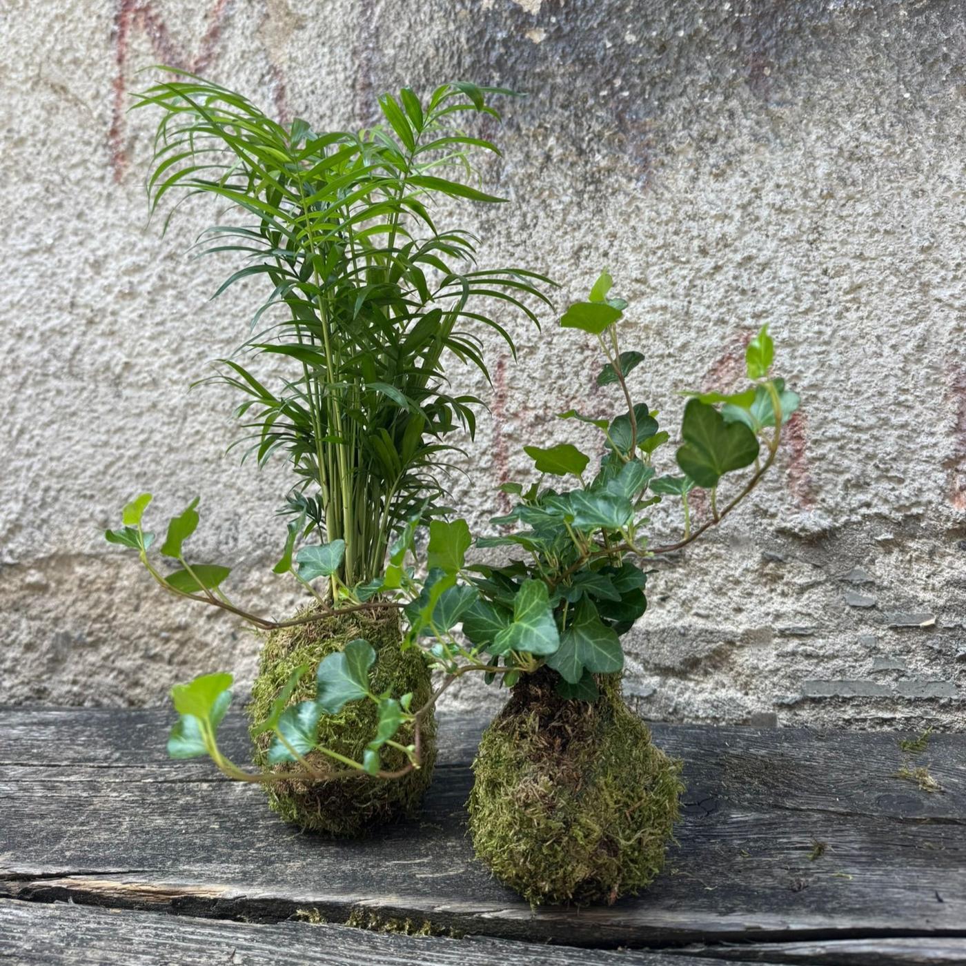 artkokedama dárek pro mámu
