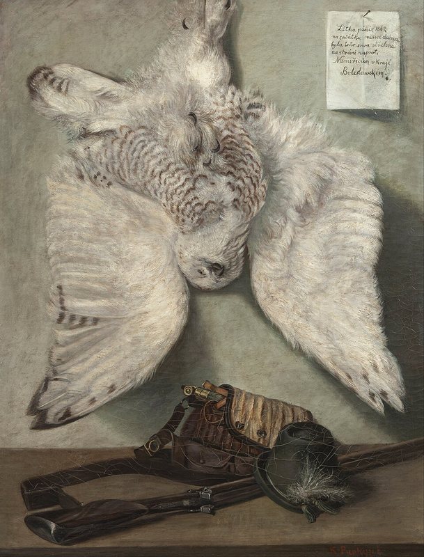 Sova sněžná od Karla Purkyně, 1862 – mrtvá bílá sova zavěšená na šedé stěně nad loveckým náčiním