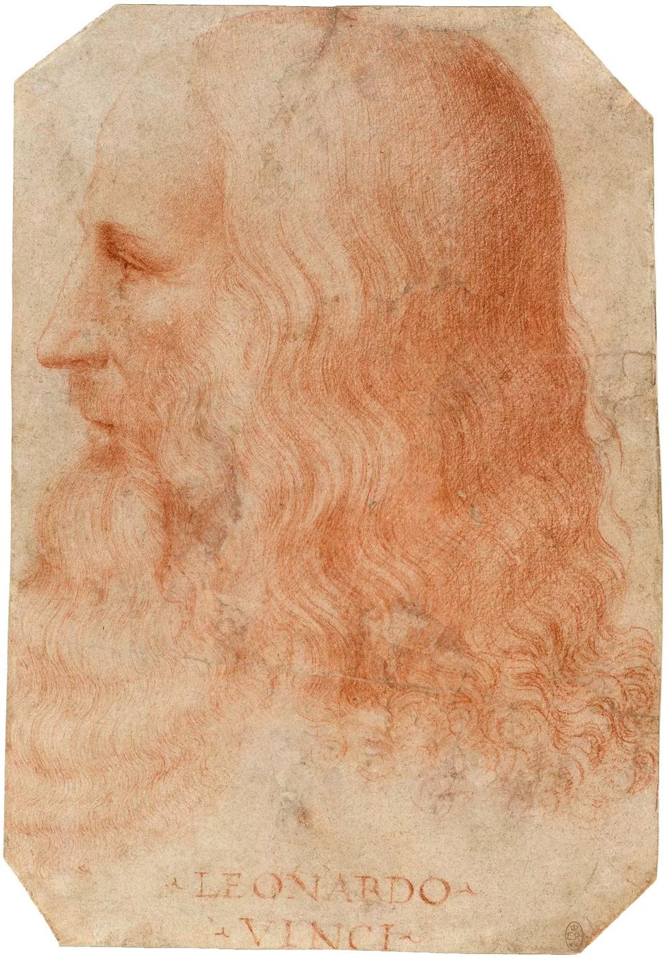 Portrét Leonarda da Vinci z profilu, kresba červenou křídou připisovaná Francescu Melzimu – starší muž s dlouhými vlasy a vousy