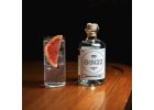 ginart 2