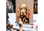 Pet Event 1000x1000