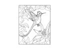 Nature Colour by Numbers
