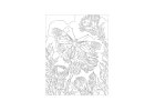 Birds & Butterflies Colour by Numbers