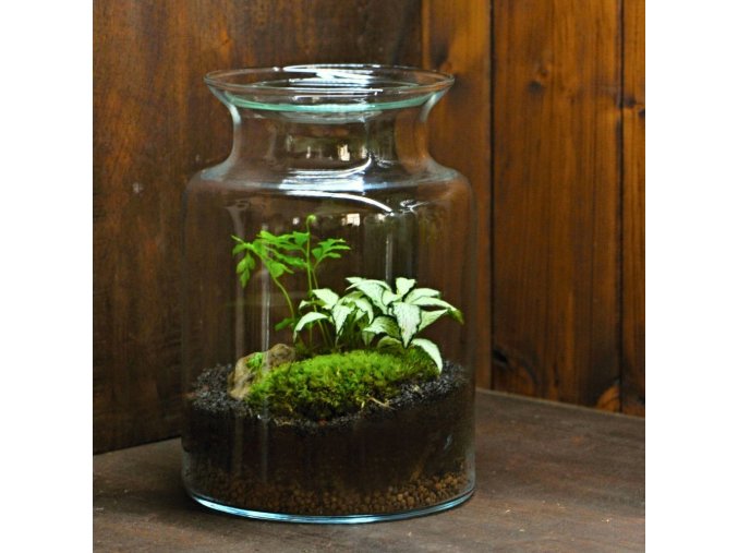 ArtTerra: Create Your Own Moss Terrarium