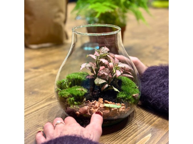 ArtTerra: Create Your Own Moss Terrarium