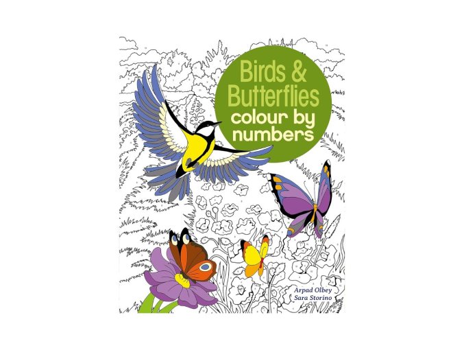 Birds & Butterflies Colour by Numbers
