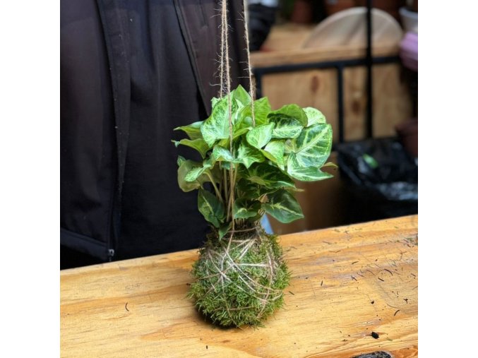 WhatsApp Image 2026 02 16 at 15.44.59 (1)