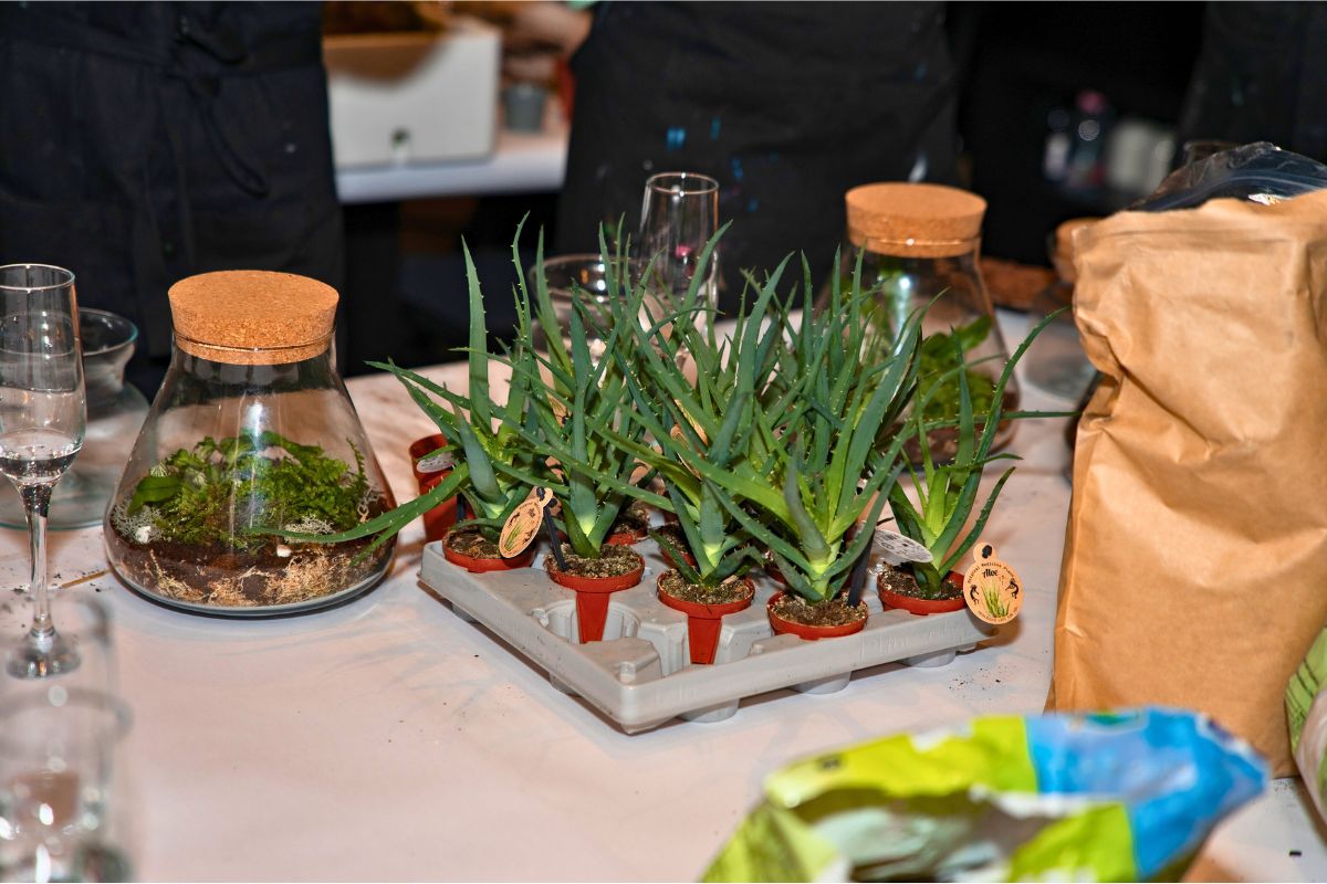 mechárium jako dárek a relaxační zážitek