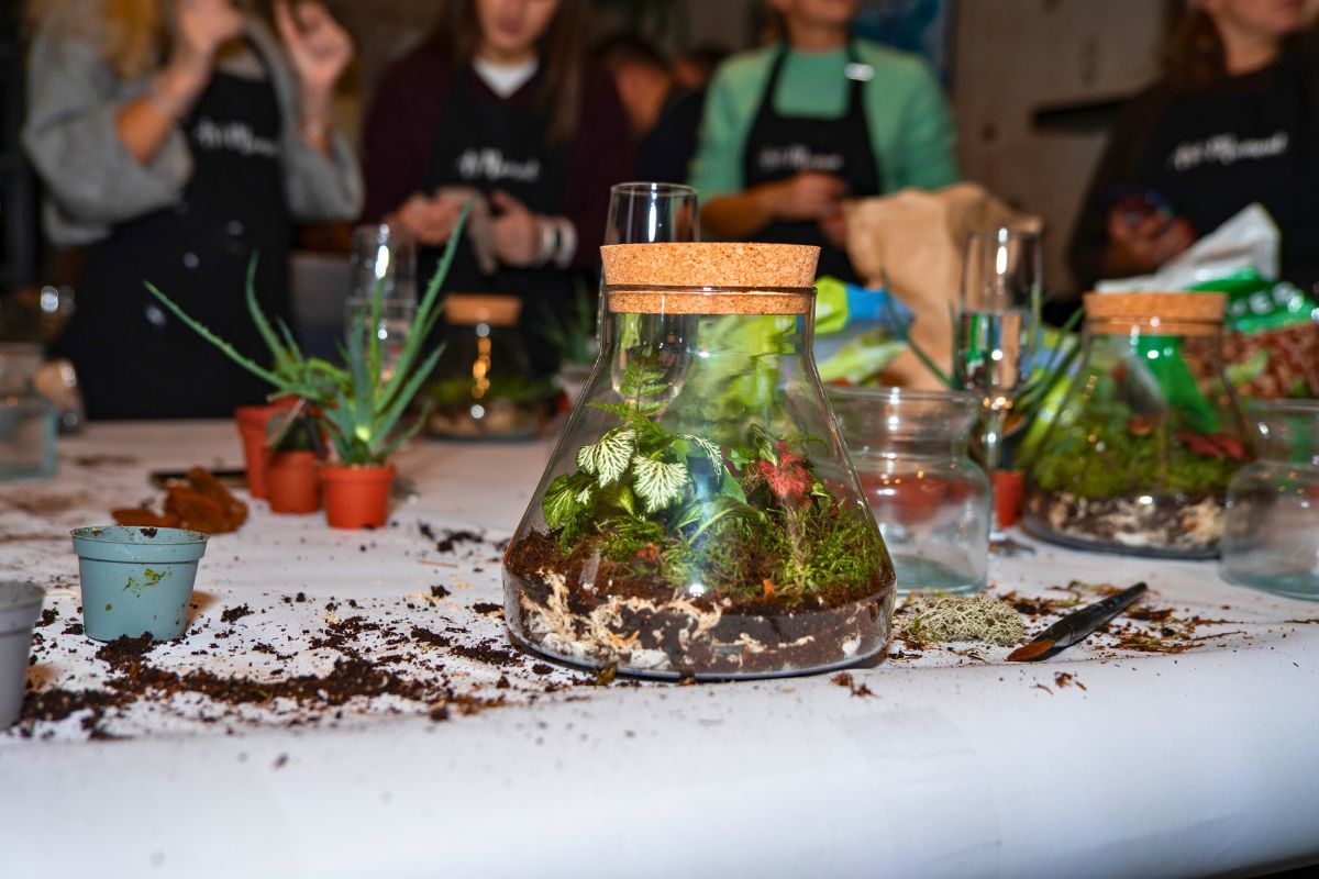 kurz vyroby mecharia recenze