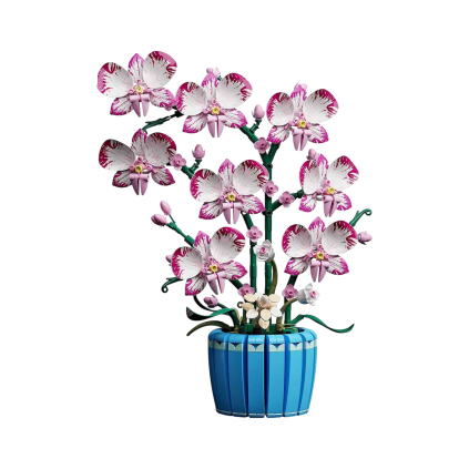 orchidej