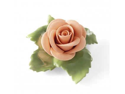 Aelteste Volkstedter Lososová porcelánová růže