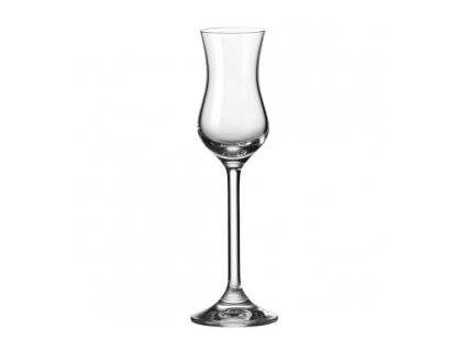 164483 leonardo daily sklenice na grappu 100ml