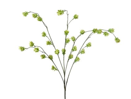 imgt0vc9c62ba5de57c03001ed426b8f90c 1 05ab572ba14297cbbf1c1195f05ab7b0 z1