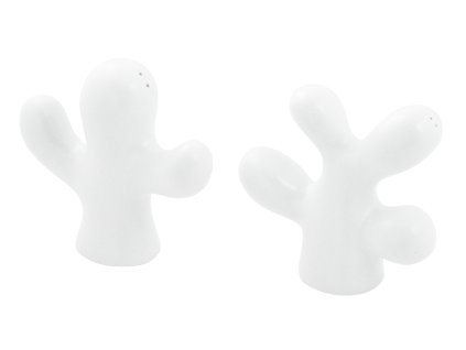 1699 solnicka a peprenka cactus pvc bila