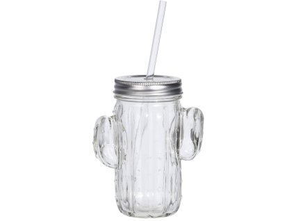 10196 1 skleneny hrnek cactus s brckem 400ml transparentni bila