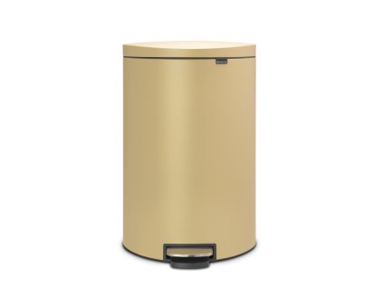Pedal Bin FlatBack+, 40L Mineral Golden Beach 8710755119644 Brabantia 96dpi 1000x1000px 7 NR 14224