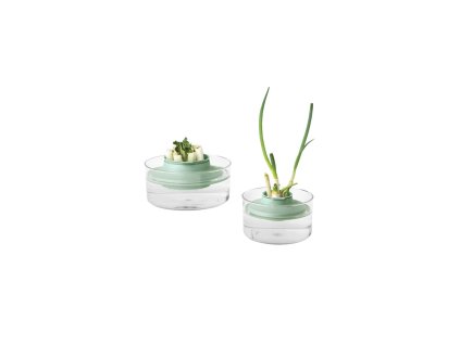 Herbs and Vegetables Regrow Kit, TASTY+ Jade Green 8710755124402 Brabantia 96dpi 1000x1000px 7 NR 15419