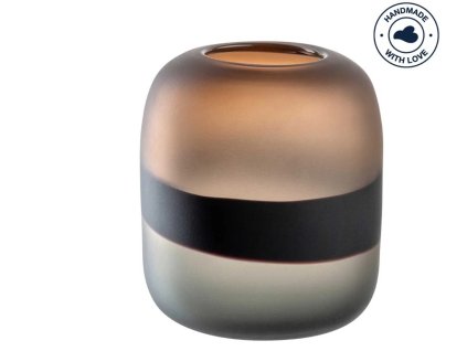 Snímek obrazovky 2026 01 20 082703