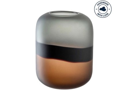 Snímek obrazovky 2026 01 20 094308