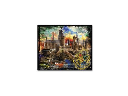 Obraz Harry Potter Bradavice 60 x 50 cm, Egan