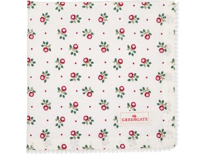 cotnapwlabp0108 web