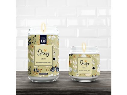 AmbFL DAISY Gioia