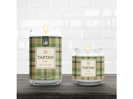 AmbFL TARTAN Forza