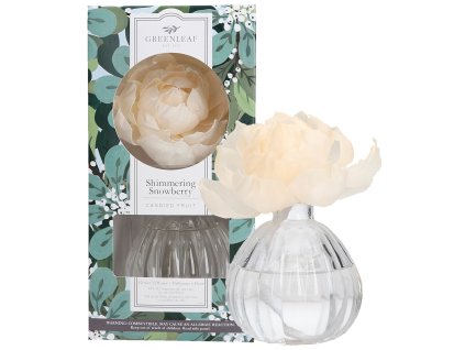 GLG966558 WS ShimmeringSnowberry